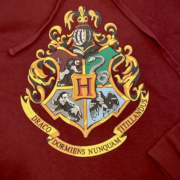 Harry Potter Hogwarts Crest Draco Maroon Cropped Hoodie M-L - Picture 4 of 11